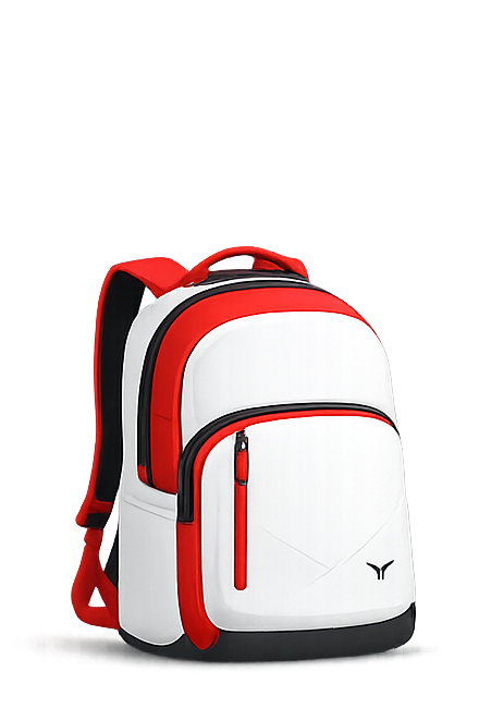 Cabin bag